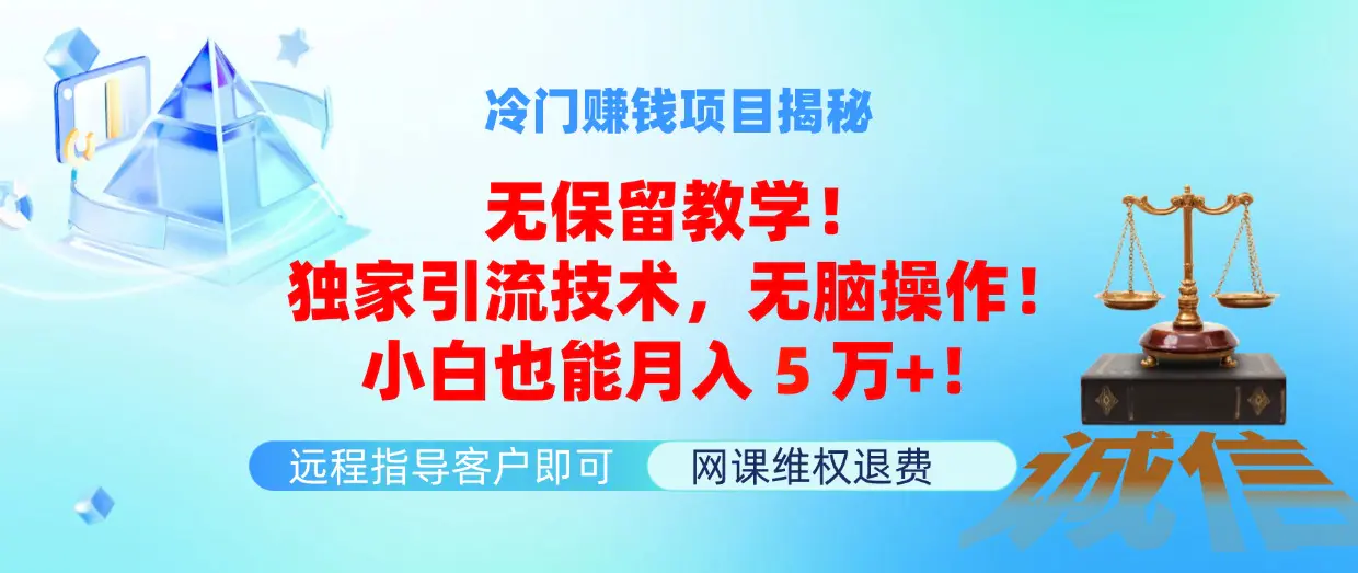 冷门赚钱项目无保留教学！独家引流技术，无脑操作！小白也能月入5万+！ - 星空项目网-星空项目网