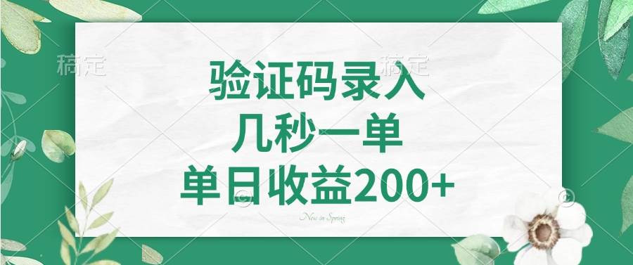 验证码录入，几秒一单，单日收益200+ - 星空项目网-星空项目网