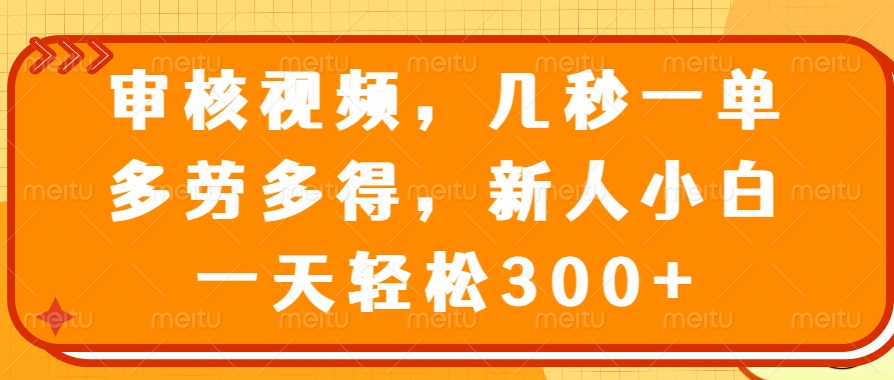 审核视频，几秒一单，多劳多得，新人小白一天轻松300+ - 星空项目网-星空项目网