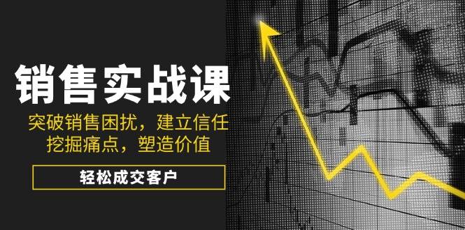 销售实战课，突破销售困扰，建立信任，挖掘痛点，塑造价值，轻松成交客户 - 星空项目网-星空项目网