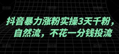 抖音暴力涨粉实操3天千粉，自然流，不花一分钱投流，实操经验分享 - 星空项目网-星空项目网