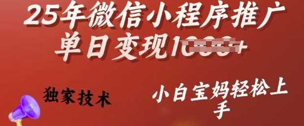 25年微信小程序推广单日变现多张，独家技术，小白宝妈轻松上手【揭秘】 - 星空项目网-星空项目网