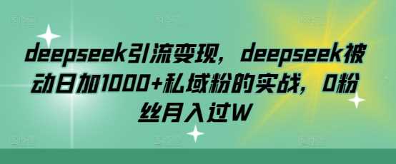 deepseek引流变现，deepseek被动日加1000+私域粉的实战，0粉丝月入过W - 星空项目网-星空项目网