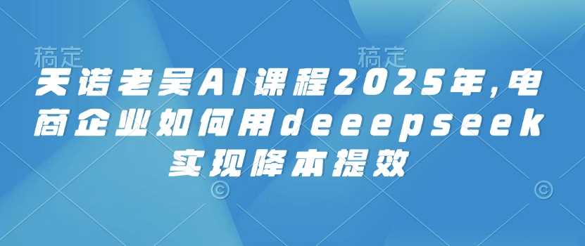 天诺老吴AI课程2025年，电商企业如何用deeepseek实现降本提效 - 星空项目网-星空项目网