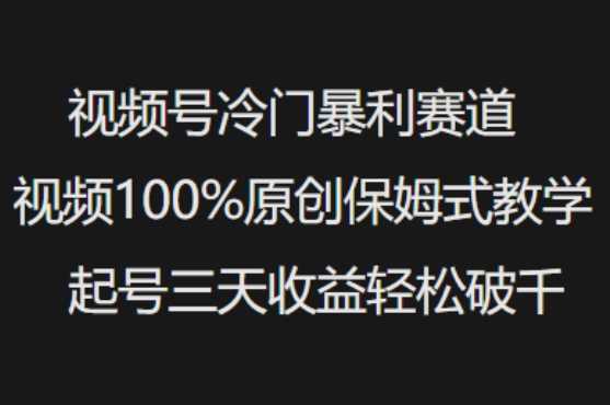 视频号冷门暴利赛道视频100%原创保姆式教学起号三天收益轻松破千 - 星空项目网-星空项目网