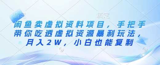 闲鱼卖虚拟资料项目，手把手带你吃透虚拟资源暴利玩法，月入2W，小白也能复制 - 星空项目网-星空项目网