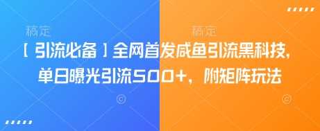 【引流必备】全网首发咸鱼引流黑科技，单日曝光引流500+，附矩阵玩法【揭秘】 - 星空项目网-星空项目网