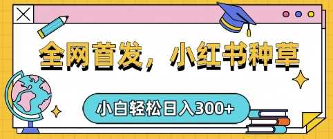 小红书种草，手机项目，日入3张，复制黏贴即可，可矩阵操作，动手不动脑【揭秘】 - 星空项目网-星空项目网