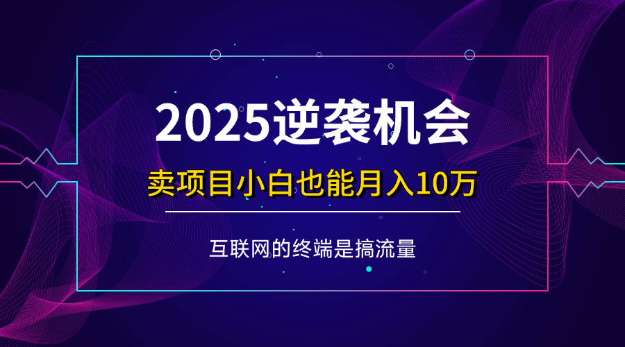 项目标题：2025逆袭机会，卖项目小白也能轻松月入10万+ - 星空项目网-星空项目网