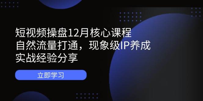 短视频操盘12月核心课程：自然流量打通，现象级IP养成，实战经验分享 - 星空项目网-星空项目网