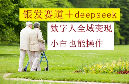银发赛道+deepseek数字人全域变现，小白也能操作 - 星空项目网-星空项目网