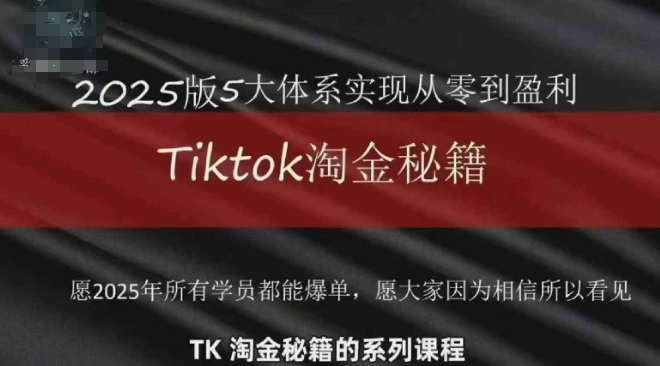 TikTok跨境2025淘金秘籍，​2025TikTok从0到盈利变现 - 星空项目网-星空项目网