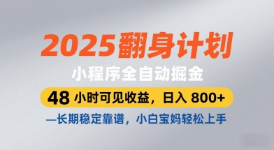 2025翻身计划，小程序全自动掘金，48小时可见收益，日入8张+，长期稳定靠谱，小白宝妈轻松上手【揭秘】 - 星空项目网-星空项目网
