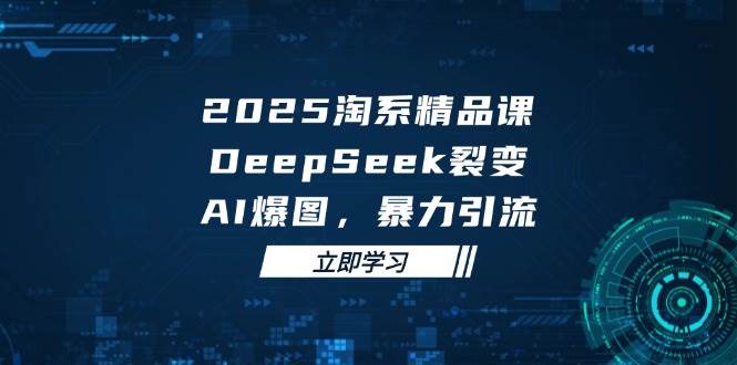 2025 淘系精品课，DeepSeek 裂变，AI 爆图，暴力引流 - 星空项目网-星空项目网