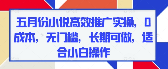 五月份小说高效推广实操，0成本，无门槛，长期可做，适合小白操作 - 星空项目网-星空项目网