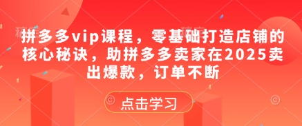 拼多多vip课程，零基础打造店铺的核心秘诀，助拼多多卖家在2025卖出爆款，订单不断 - 星空项目网-星空项目网
