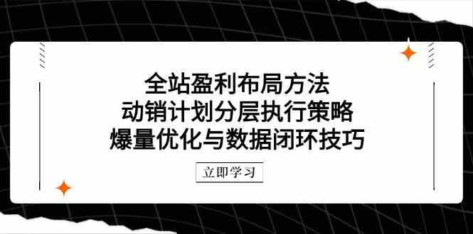 全站盈利布局方法：动销计划分层执行策略，爆量优化与数据闭环技巧 - 星空项目网-星空项目网