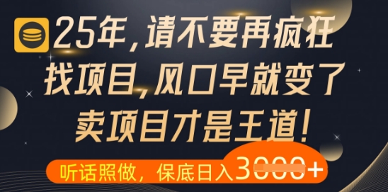 什么？25年你还在疯狂找项目做，醒醒吧，看完这些你全都懂了【揭秘】 - 星空项目网-星空项目网