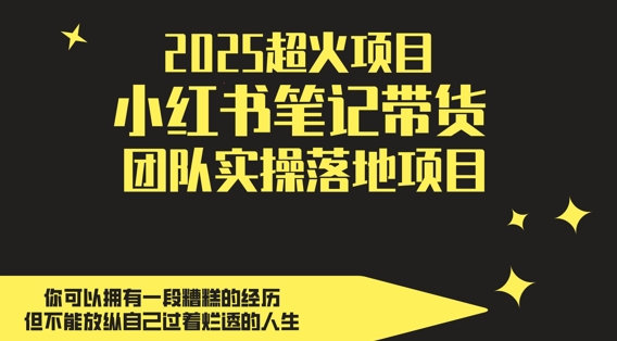 2025超火项目，副业最佳选择，小红书笔记带货团队实操落地项目，，轻松日入5张 - 星空项目网-星空项目网