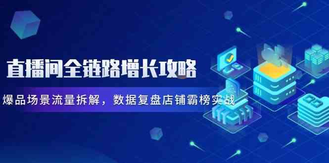 直播间全链路增长攻略，爆品场景流量拆解，数据复盘店铺霸榜实战 - 星空项目网-星空项目网