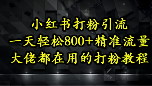 小红书打粉引流，一天轻松500+精准流量，大佬都在用的打粉教程 - 星空项目网-星空项目网