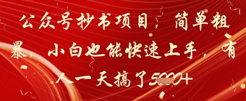 公众号抄书项目，简单粗暴，小白也能快速上手，有人一天搞了1k+ - 星空项目网-星空项目网