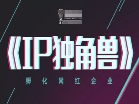 IP独角兽，孵化网红企业，ip教程 - 星空项目网-星空项目网