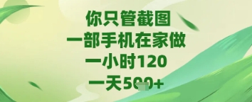 你只管截图，一部手机在家做，苹果安卓都可以，一天5张+【揭秘】 - 星空项目网-星空项目网