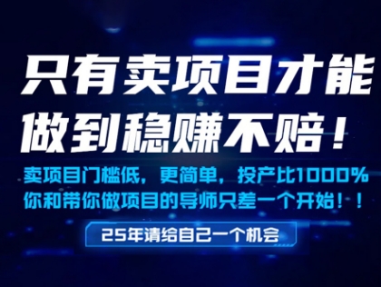 只有卖项目才能做到稳挣不赔，门槛低，更简单，你也可以年入百个W【揭秘】 - 星空项目网-星空项目网