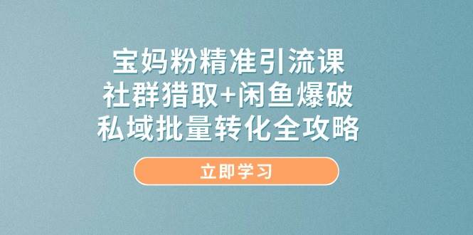 宝妈粉精准引流课，社群猎取+闲鱼爆破，私域批量转化全攻略 - 星空项目网-星空项目网