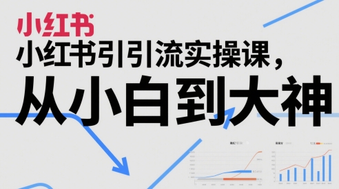 小红书引流实操课，从小白到大神 - 星空项目网-星空项目网